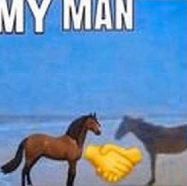 my man 🐴🤝🐴